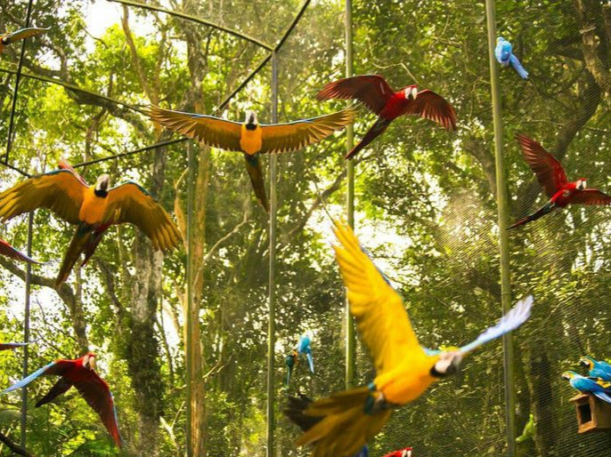 PARQUE DAS AVES