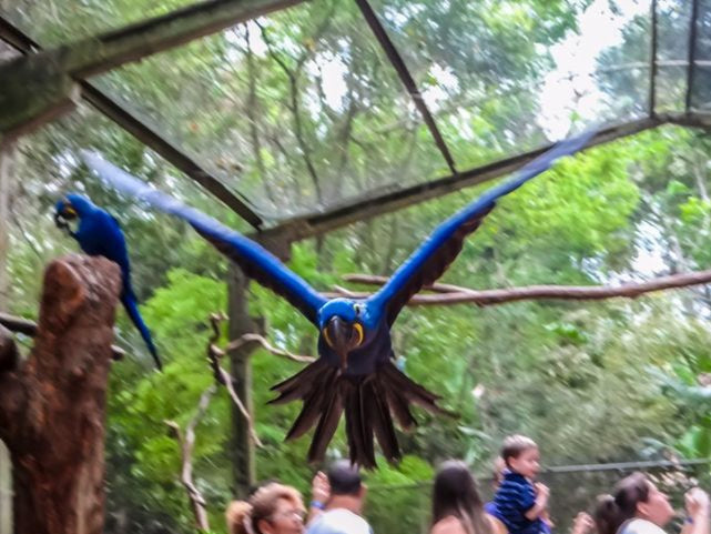 PARQUE DAS AVES