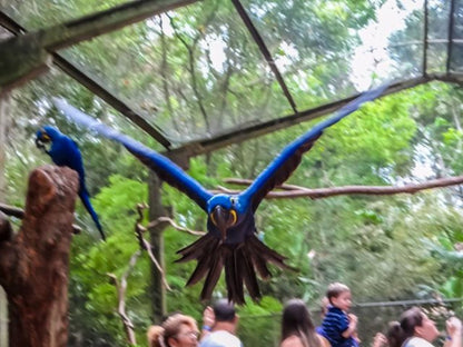 PARQUE DAS AVES
