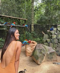 PARQUE DAS AVES